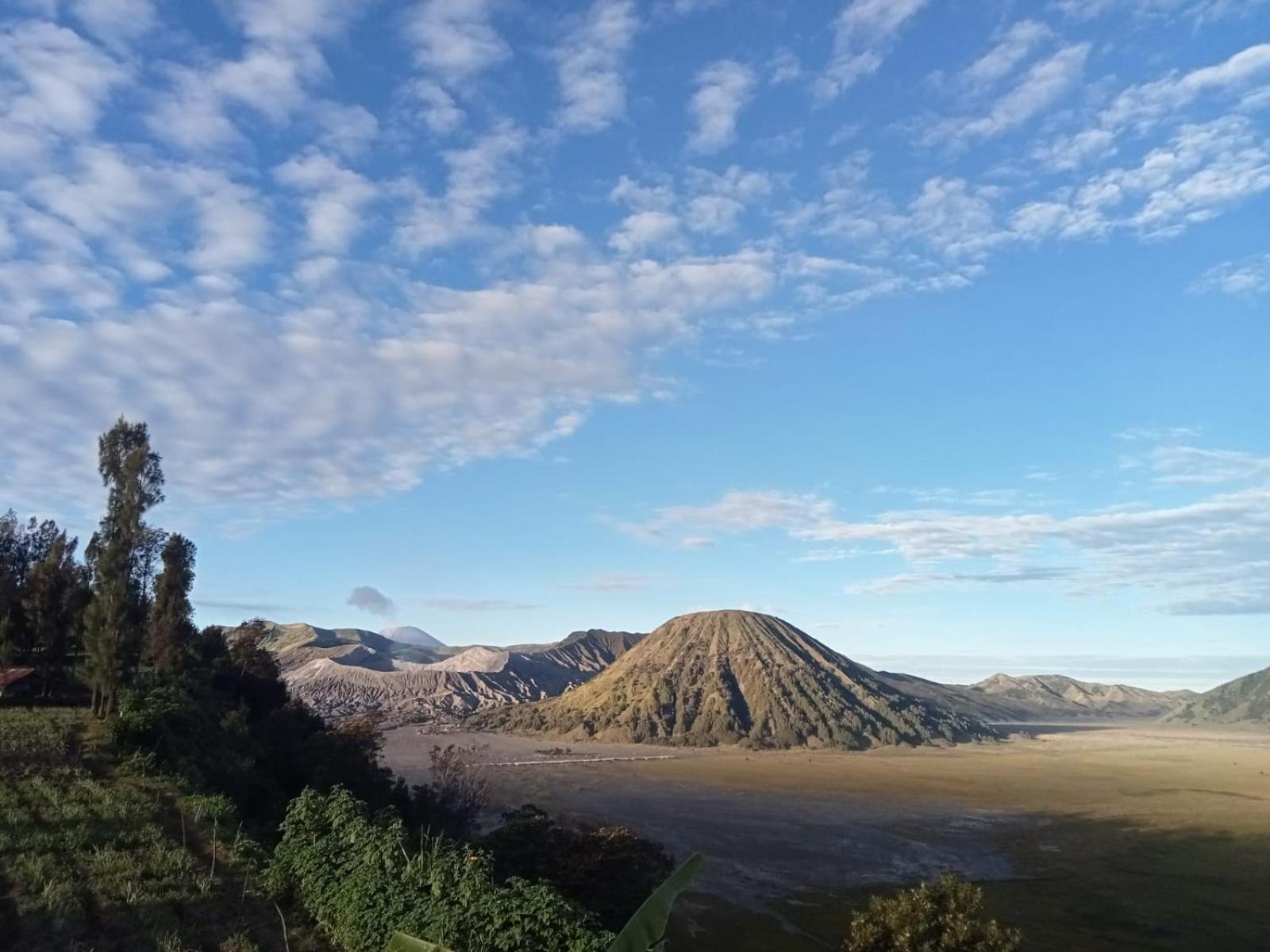 Tengger Indah Seruni Bromo Probolinggo Exteriör bild